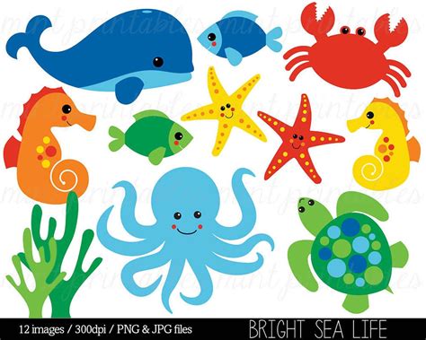 water animals clipart|ocean animals pictures printable.